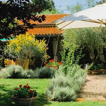 Vintage Farmhouse In Grosseto With Jacuzzi 펜션 부리아노